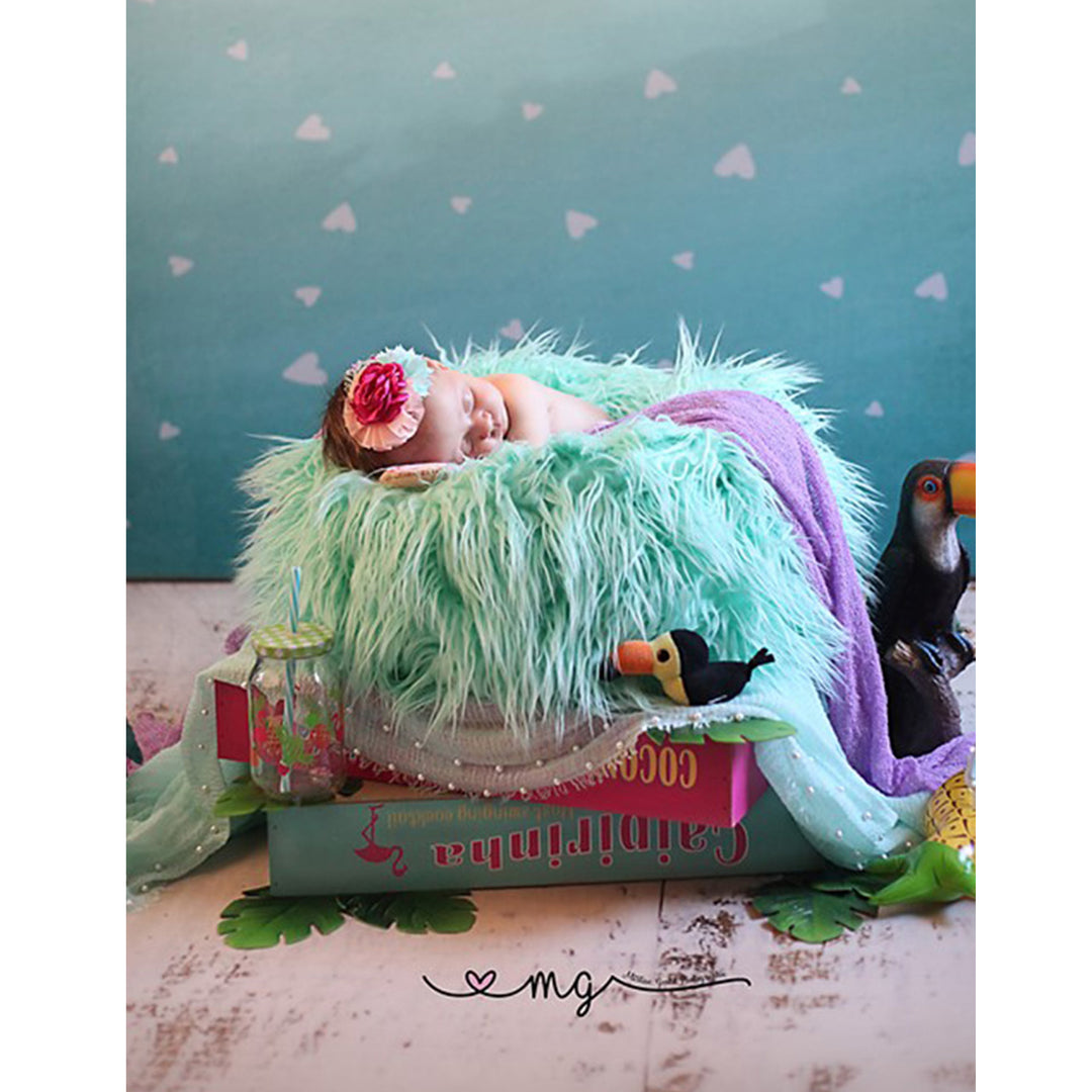 Faux Fur Posing Pillow Nest Prop for Newborn