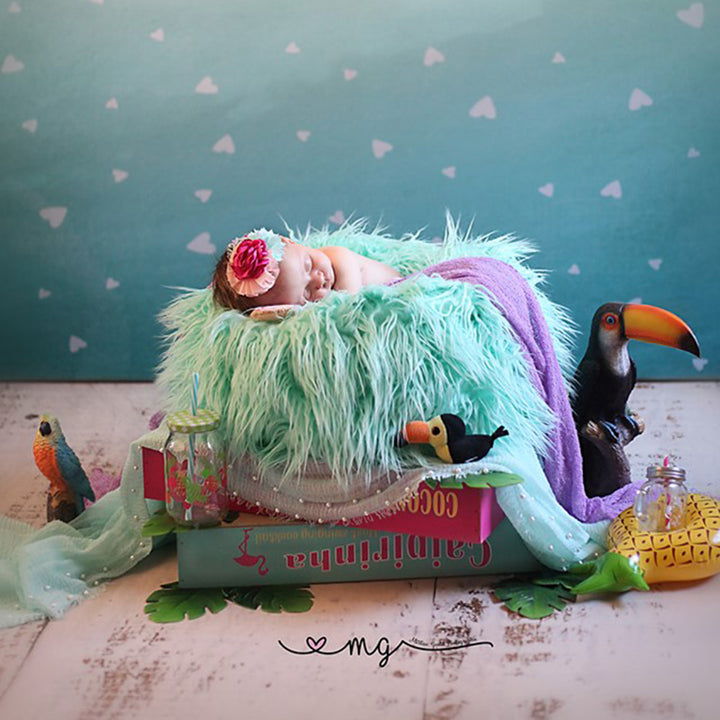 Faux Fur Posing Pillow Nest Prop for Newborn - Don&Judy Newborn&Maternity photography props