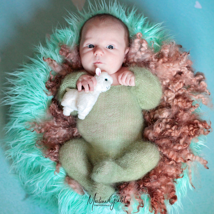 Faux Fur Posing Pillow Nest Prop for Newborn - Don&Judy Newborn&Maternity photography props