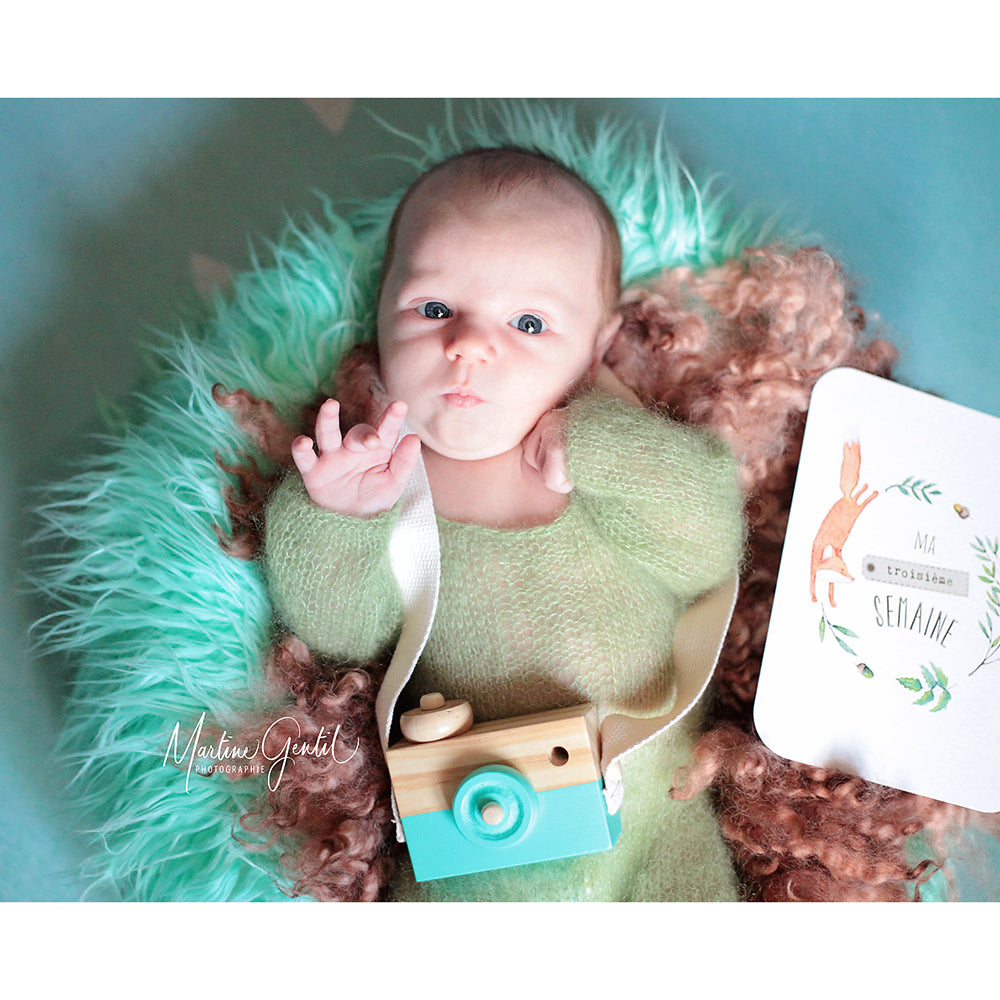 Faux Fur Posing Pillow Nest Prop for Newborn - Don&Judy Newborn&Maternity photography props